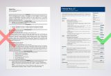 Sample Of Resume for Spanish Position Translator Resume Sample with Skills (template & Guide)