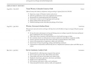 Sample Of Resume for Waitress Position Waiter Cv October 2021