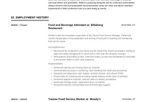 Sample Of Resume Highlights for Food Server 22 Food & Beverage attendant Resumes Pdf & Word 2022