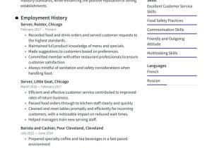 Sample Of Resume Highlights for Food Server Server Resume Examples & Writing Tips 2022 (free Guide) · Resume.io Sample Of Resume Highlights for Food Server Server Resume Examples & Writing Tips 2022 (free Guide) · Resume.io