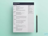 Sample Of Resume In Indesign for Two People 2 Page Resume: Will It Crush Your Chances? (format & Tips)