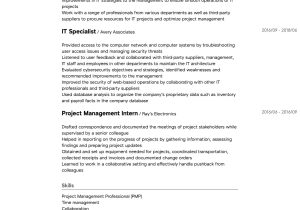 Sample Of Resume Objective for Information Technology Information Technology Resume Samples All Experience Levels … Sample Of Resume Objective for Information Technology Information Technology Resume Samples All Experience Levels …