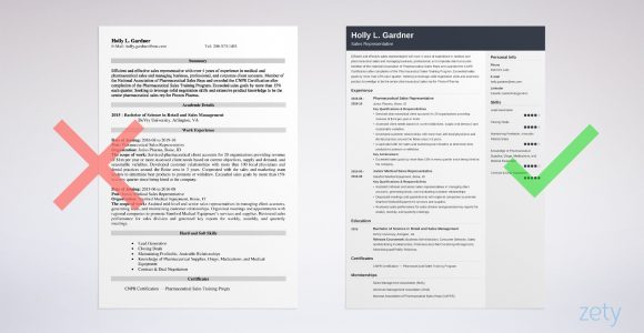 Sample Of Resume Objectives for Sales Position Sales Representative Resume: Sample & Job Description