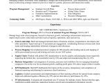 Sample Of Resume Of Project Manager Program Manager Resume Monster.com
