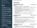 Sample Of Resume Of Promotional Products with Logo Specialist Digital Marketing Specialist Cv Sample 2022 Writing Tips …