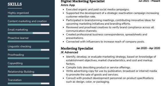 Sample Of Resume Of Promotional Products with Logo Specialist Digital Marketing Specialist Cv Sample 2022 Writing Tips …