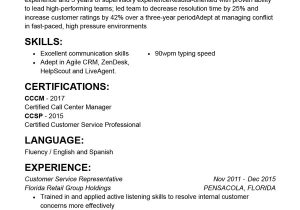 Sample Of Resume Summary for Customer Service Customer Service Resume: Guide with Examples Resumehelp
