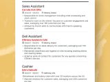 Sample Of Resume Summary for Freshers the Best 2022 Fresher Resume formats and Samples