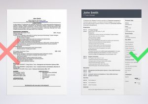 Sample Of Resume Used In Usa the 3 Best Resume formats to Use In 2022 (examples)