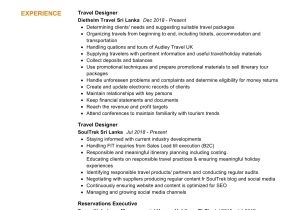 Sample Of Resume while Travelling for A Year Travel Planner Resume Example 2022 Writing Tips – Resumekraft