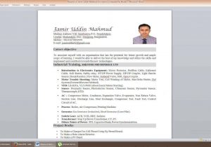Sample Of Resume with 2×2 Picture How to Insert Photo In Resume In Ms Word 2019