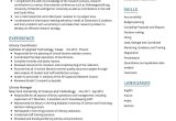 Sample Of Resume with Library Volunteer Experience Library Manager Resume Sample 2022 Writing Tips – Resumekraft