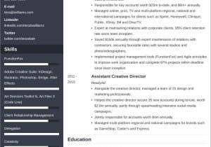 Sample Of Resumes for Director Jobs Creative Director Resume Example and 25lancarrezekiq Writing Tips