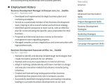 Sample Of Resumes for Vp Business Development Business Development Manager Resume Examples & Writing Tips 2022 (free