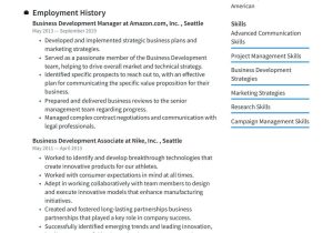 Sample Of Resumes for Vp Business Development Business Development Manager Resume Examples & Writing Tips 2022 (free