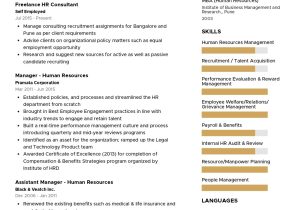 Sample Of Resumes with Gap Year Sample Resume Of Hr Manager with Career Break with Template …