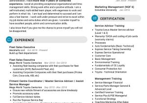 Sample Of Sales Job Description for Resume Fleet Sales Executive Resume Sample 2022 Writing Tips – Resumekraft