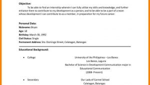 Sample Of Simple Resume In Philippines 11lancarrezekiq Resume Samples Philippines Sample Resume format, Basic …