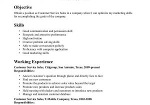 Sample Of Skills and Competencies In Resume Resume Core Competency Examples Customer Service Resume Examples …