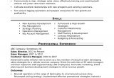 Sample Of Technical Skills In Resume Sales Director Resume Sample Monster.com