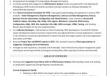 Sample oracle Application Techno Functional Consultant Resume Resume