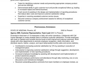 Sample Professional Summary for Customer Service Resume New Customer Service Resume Summary Examples – Resume Template …