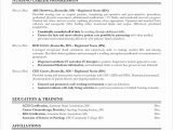 Sample Professional Summary for Nursing Resume Emergency Room Nurse Resume Template References – Shefalitayal