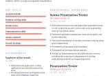 Sample Qa Resume with Role Based Security Testing Penetration Tester Resume Example with Content Sample Craftmycv