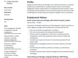 Sample Qualifications In Resume for Hrm 17 Human Resources Manager Resumes & Guide 2020