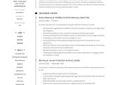 Sample Representative Matters for Lawyer Resume 18 attorney Resume Examples & Writing Guide Templates 2022