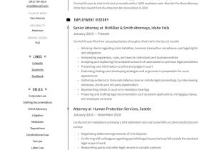 Sample Representative Matters for Lawyer Resume 18 attorney Resume Examples & Writing Guide Templates 2022