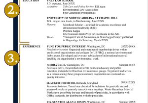 Sample Respresentative Matters for Lawyer Resume Resume Advice & Samples – Yale Law School
