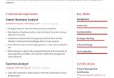 Sample Resume 1 Year Experience Businene Analyst Business Analyst Resume Example with Pre-written Content Sample …