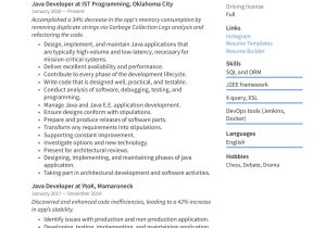 Sample Resume 1 Year Experience In Java Java Developer Resume & Writing Guide  20 Templates