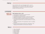 Sample Resume 1 Year Experience In Java Junior Java Developer Resume Samples & Templates [pdflancarrezekiqword] 2022 …