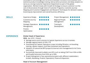 Sample Resume Accomplishments for Senior Customer Service Representative Senior Customer Experience Resume Sample 2022 Writing Tips …