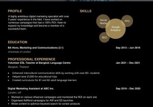 Sample Resume after 10 Year Break How to Mention A Gap Year On Your RÃ©sumÃ© (with Examples)