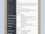 Sample Resume after One Year Experience the 3 Best Resume formats to Use In 2022 (examples)