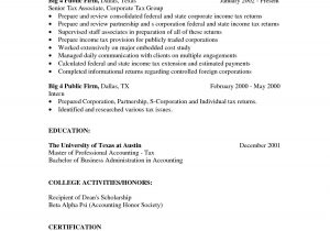 Sample Resume Big 4 Accounting Firm Big 4 Cv Template – Resume Examples Resume Examples, Cv Template …