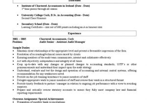 Sample Resume Big 4 Accounting Firm Big 4 Sample Cv Pdf Accountant Audit