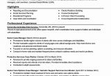 Sample Resume Child Protective Services Investigator Child Protection Manager Resume October 2021