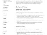 Sample Resume Cleaning Company Owner Manager Small Business Owner Resume Template Resume Guide, Resume …