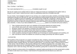 Sample Resume Cover Letter for It Job Professional Resume Cover Letter Sample