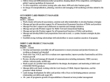 Sample Resume Credit Card Sales Manager Card Product Manager Resume Samples