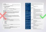Sample Resume Daycare with Your Nephew Babysitter Resume Samples (skills, Experience & More)