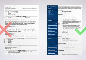Sample Resume Daycare with Your Nephew Babysitter Resume Samples (skills, Experience & More)