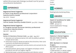 Sample Resume Dental Hygiene Portfolio Examples Dentist Resume Example with Writing Guide 2022 Writing Tips …