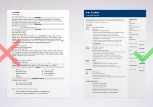 Sample Resume Department Store Sales Professional Retail Sales associate Resume: Samples and Guide