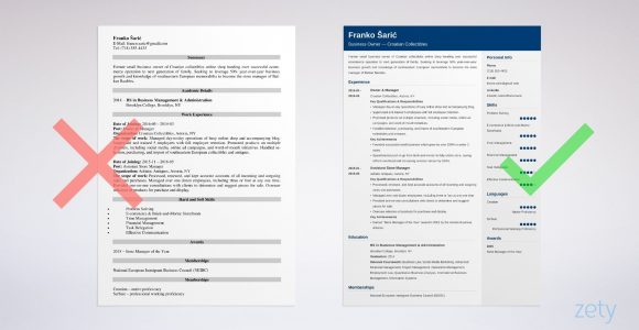 Sample Resume Description Of A Retail Business Owner Business Owner Resume Samples (template & Guide)
