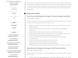 Sample Resume Director Of Economic Development Business Development Manager Resume & Guide 2022